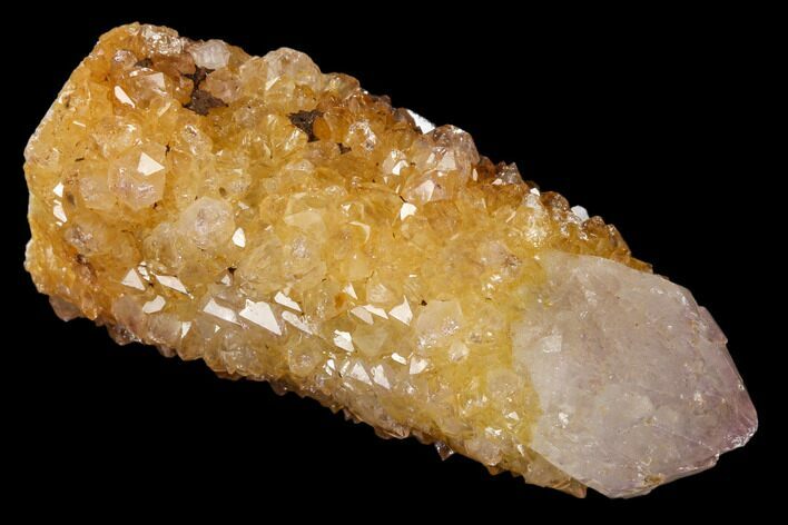 Sunshine Cactus Quartz Crystal - South Africa #115151